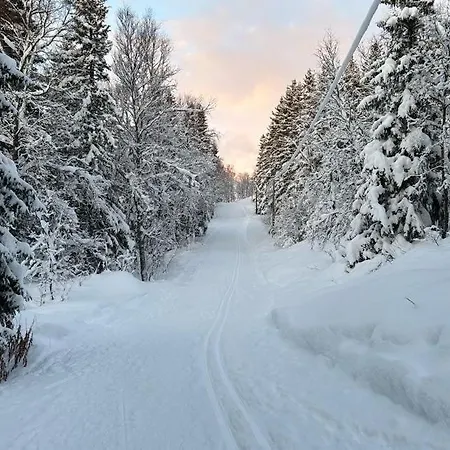 Cozy Near The Center And Nature Apartment