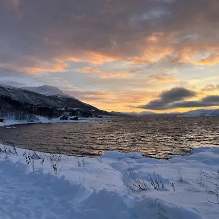 Cozy Near The Center And Nature