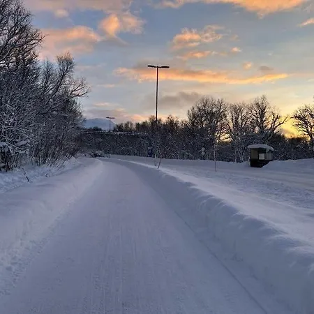 Cozy Near The Center And Nature *
