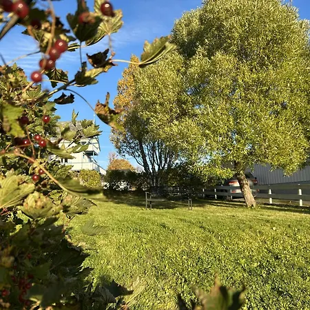 Cozy Near The Center And Nature
